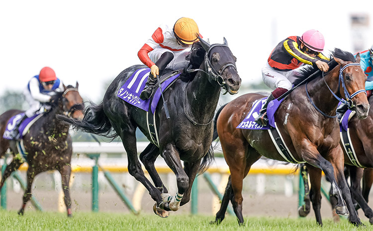 第71回安田記念優勝馬ダノンキングリー(撮影：下野雄規)