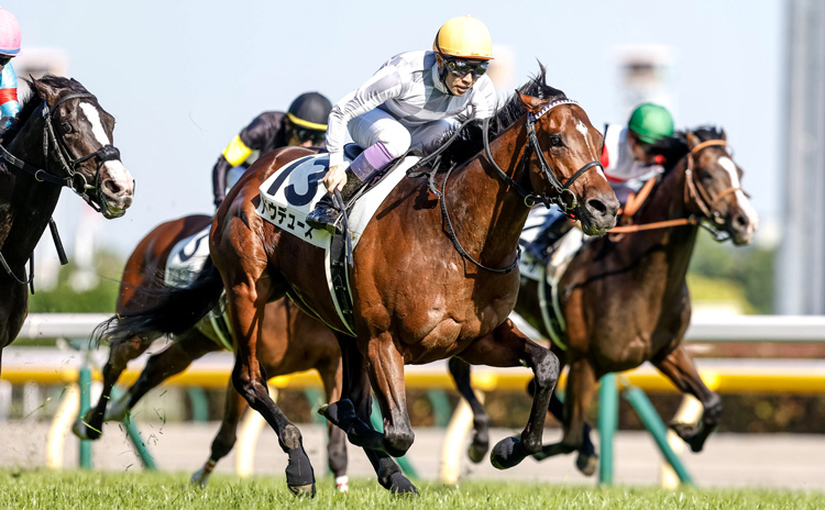 ドウデュース(写真は日本ダービー優勝時、撮影：下野雄規)