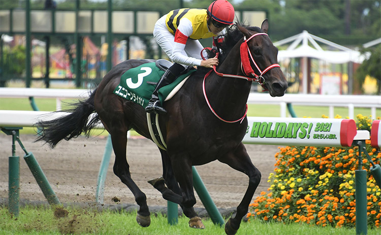 【鳴尾記念予想】過去10年のレース結果（1～3着馬）のデータ一覧/競馬予想データ