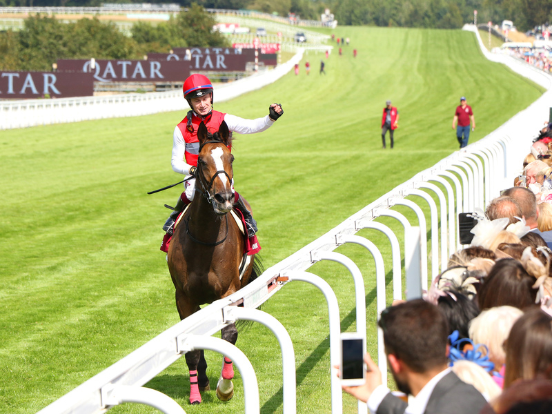 プリンスオブウェールズステークス（G1）歴代日本馬出走・成績一覧