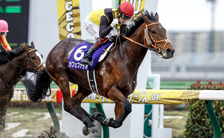【ユニコーンS歴代指数ランキング】東京ダート1600mで強さを発揮するあの馬が1位！