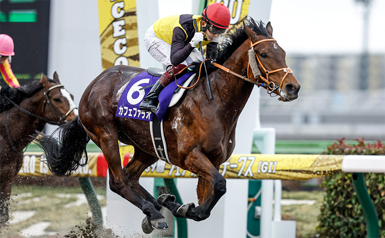 歴代のユニコーンステークスではカフェファラオが1位(写真は2022年フェブラリーS優勝時、撮影：下野雄規)