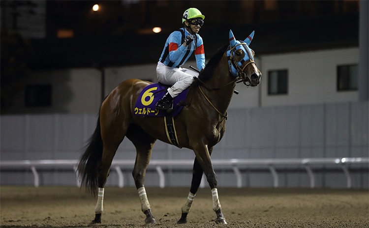 第57回関東オークス5枠6番1番人気で優勝した武豊騎手騎乗のウェルドーン(撮影：高橋正和)