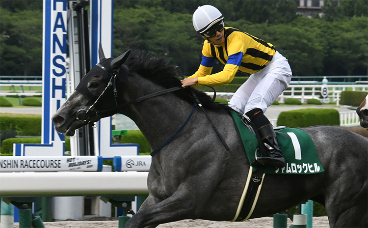 【マーメイドS予想】過去10年のレース結果（1～3着馬）のデータ一覧/競馬予想データ