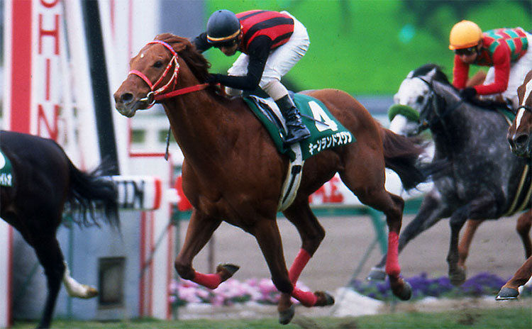 2005年に挑戦したキーンランドスワン(写真は2005年阪急杯、(c)netkeiba.com)