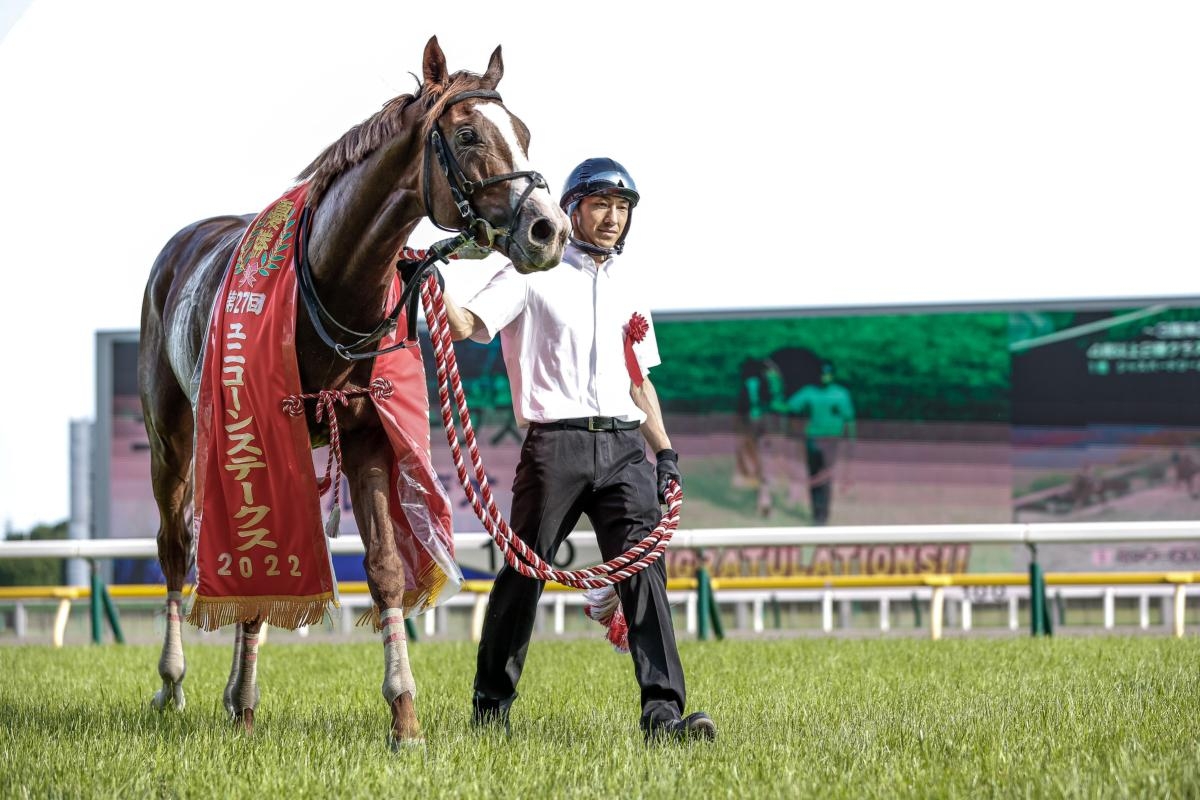 1位はユニコーンSを優勝したペイシャエス(写真はユニコーンS優勝時)