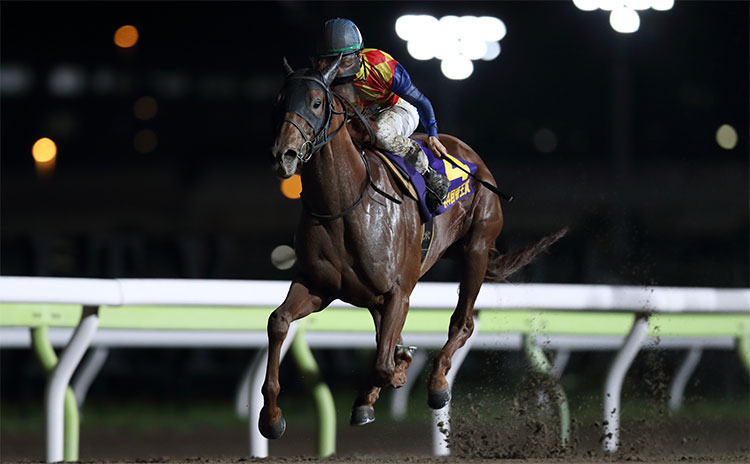 第44回帝王賞4枠4番4番人気で優勝した松山弘平騎手騎乗のテーオーケインズ(撮影：高橋正和)