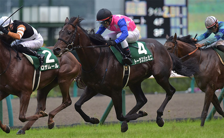 【七夕賞予想】過去10年のレース結果（1～3着馬）のデータ一覧/競馬予想データ