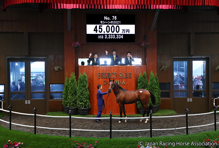 ダノックスが4億5000万円で落札したモシーンの2021(写真提供：日本競走馬協会)