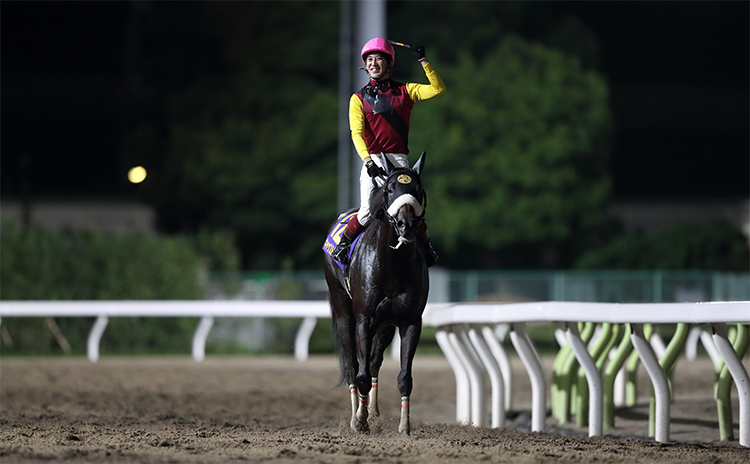 【ジャパンダートダービー予想】過去10年のレース結果（1～3着馬）のデータ一覧/競馬予想データ