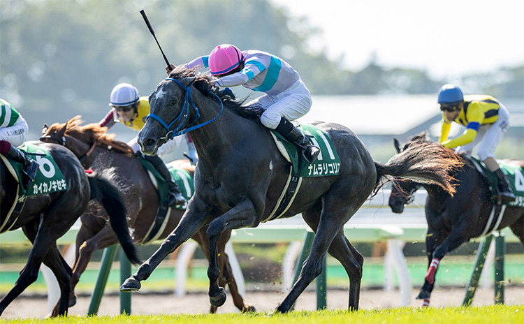 【函館2歳S予想】過去10年のレース結果（1～3着馬）のデータ一覧/競馬予想データ