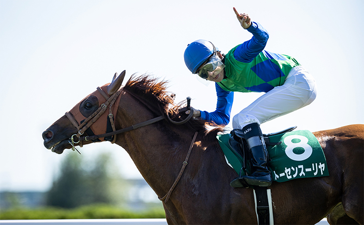 【函館記念予想】過去10年のレース結果（1～3着馬）のデータ一覧/競馬予想データ