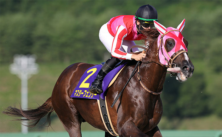 第25回マーキュリーカップ2枠2番4番人気で優勝したマスターフェンサー(写真提供：岩手県競馬組合)