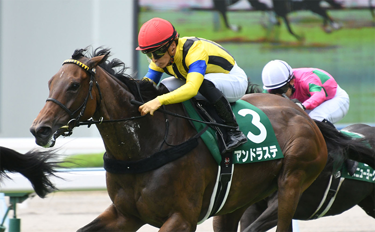 【中京記念予想】過去10年のレース結果（1～3着馬）のデータ一覧/競馬予想データ