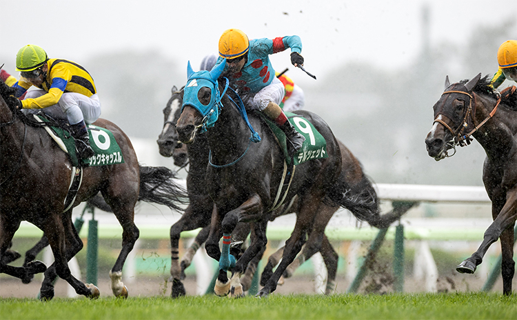 【クイーンステークス予想】過去10年のレース結果（1～3着馬）のデータ一覧/競馬予想データ