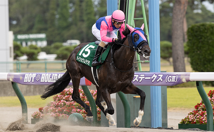 【レパードS予想】過去10年のレース結果（1～3着馬）のデータ一覧/競馬予想データ