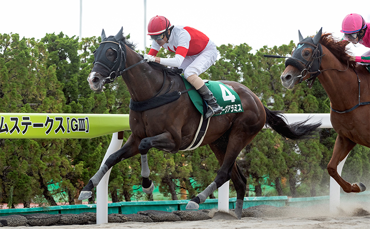 【エルムS予想】過去10年のレース結果（1～3着馬）のデータ一覧/競馬予想データ