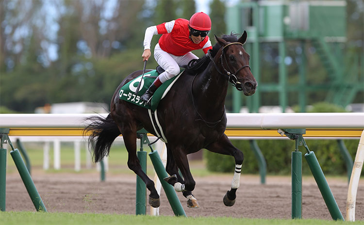 【関屋記念予想】過去10年のレース結果（1～3着馬）のデータ一覧/競馬予想データ