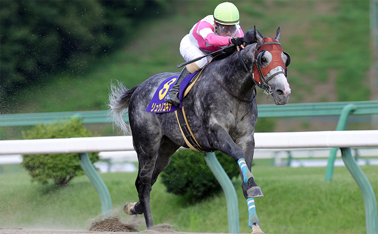 【クラスターカップ予想】過去10年のレース結果（1～3着馬）のデータ一覧/競馬予想データ