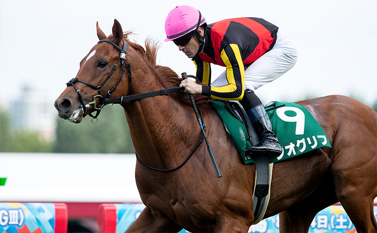 【札幌2歳ステークス予想】過去10年のレース結果（1～3着馬）のデータ一覧/競馬予想データ