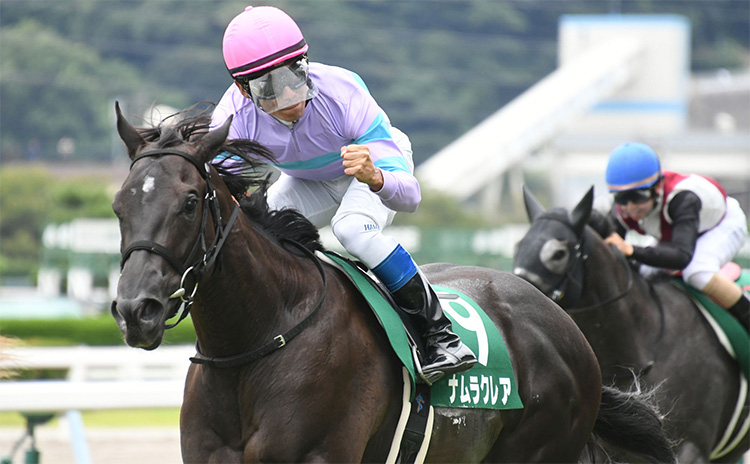 【小倉2歳ステークス予想】過去10年のレース結果（1～3着馬）のデータ一覧/競馬予想データ