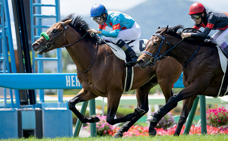 【札幌2歳ステークス2022最新情報】ここをステップにクラシックロードを歩むのはどの馬か？？