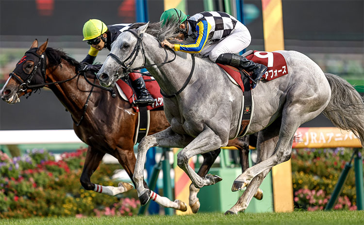 ガイアフォースが父も制したセントライト記念を優勝(撮影：下野雄規)