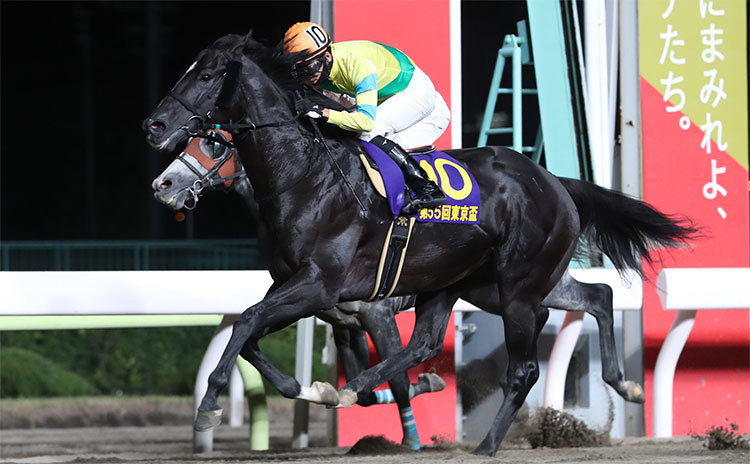 【東京盃予想】好走馬多い枠、馬番は…過去10年のレース結果(1～3着馬)のデータ一覧/競馬予想データ