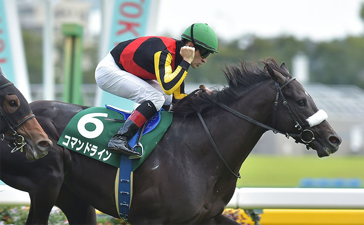 【サウジアラビアRC予想】キャリアよりも将来性？ 過去8年のレース結果(1～3着馬)のデータ一覧/競馬予想データ