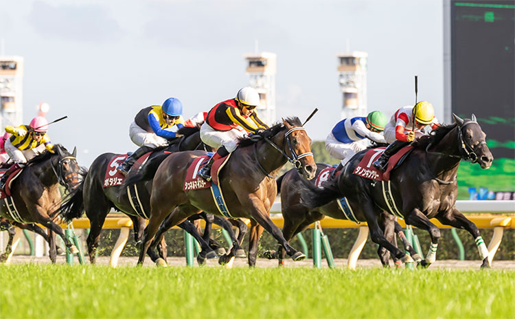 【毎日王冠予想】重要視するのは格？ 勢い？ 過去10年のレース結果(1～3着馬)のデータ一覧/競馬予想データ