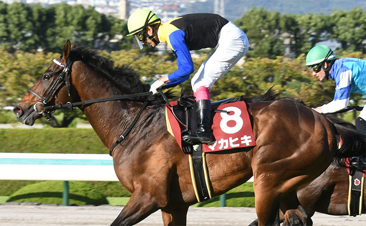第56回京都大賞典を9番人気で制したマカヒキ、鞍上は藤岡康太騎手(c)netkeiba.com
