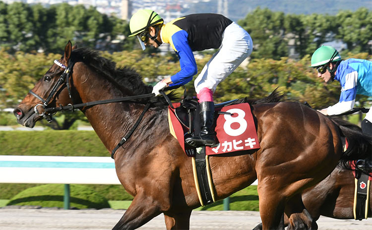 【京都大賞典予想】1番人気は近5年勝利なし…過去10年のレース結果(1～3着馬)のデータ一覧/競馬予想データ