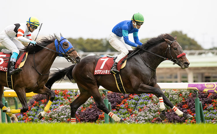 【東京ハイジャンプ予想】次を見据えた馬が結果を残すレース 過去10年のレース結果(1～3着馬)のデータ一覧/競馬予想データ