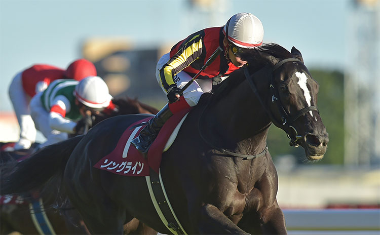 【富士ステークス予想】前走NHKマイルC優勝馬には気になるデータ…過去10年のレース結果(1～3着馬)のデータ一覧/競馬予想データ