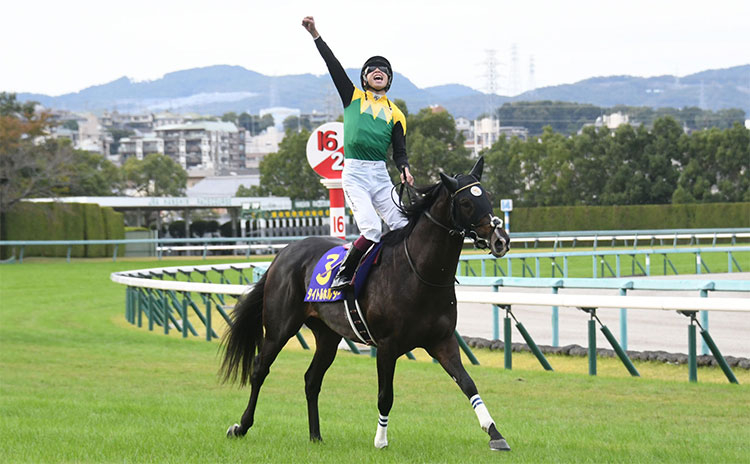 第82回菊花賞を4番人気で制したタイトルホルダー、鞍上は横山武史騎手(c)netkeiba.com