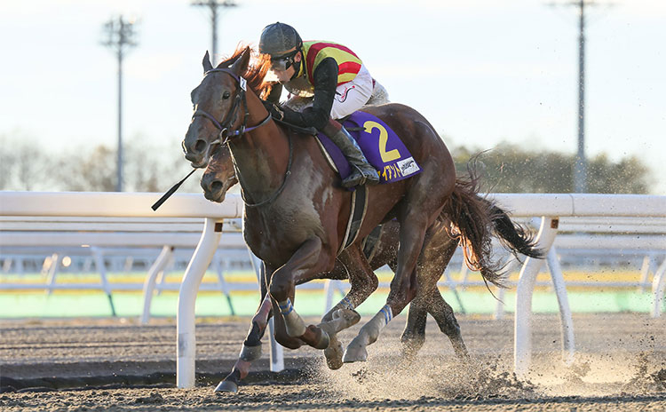 第2回JBC2歳優駿(写真提供：ホッカイドウ競馬)
