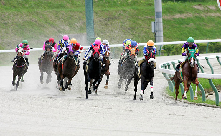 盛岡競馬場の4コーナー