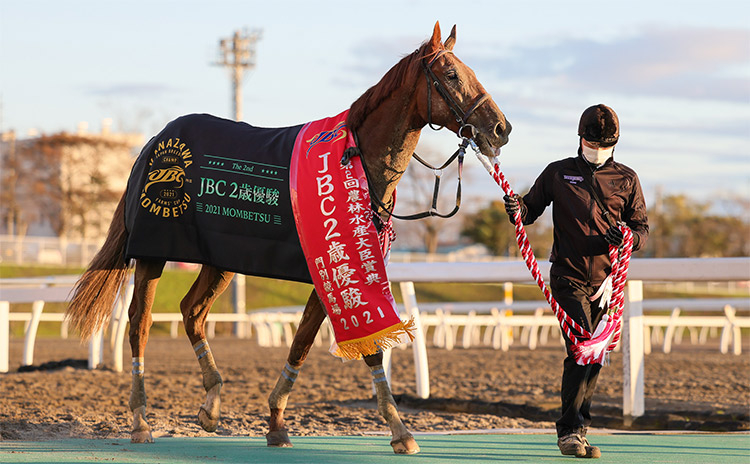 【JBC2歳優駿予想】狙うべき地方馬と不振な人気順とは…過去10年のレース結果(1～3着馬)のデータ一覧/競馬予想データ