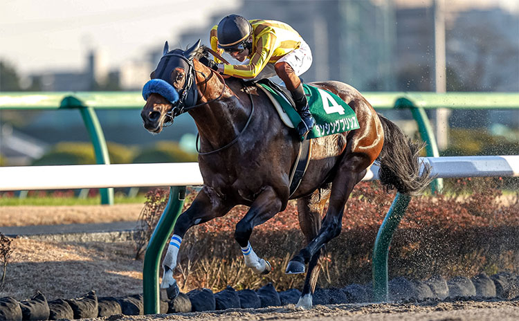 【JBCスプリント予想】今の馬場なら国内屈指のスピード馬にチャンス到来！