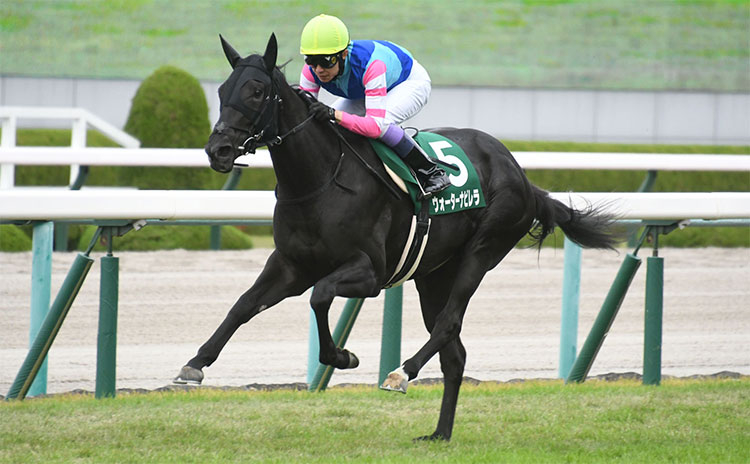 ファンタジーS」競馬まとめ一覧 | 競馬まとめ - netkeiba.com