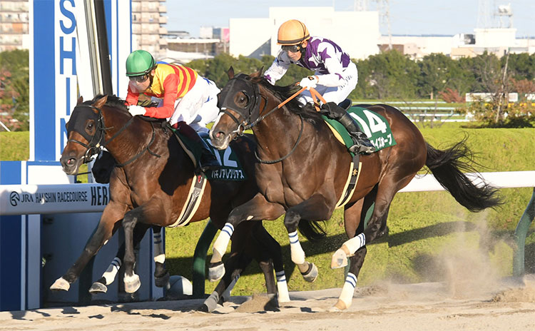 【みやこS結果情報】人気馬尻目に伏兵サンライズホープが接戦制し重賞2勝目!!