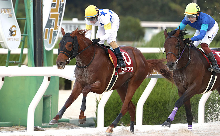 【兵庫ジュニアグランプリ予想】近年は中心馬が明確になり、固めの傾向… 過去10年のレース結果(1～3着馬)のデータ一覧/競馬予想データ