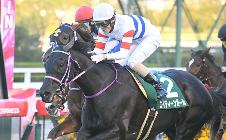 【京阪杯 予想】過去10年優勝馬ゼロのジンクスに挑む人気馬とは… 過去10年のレース結果(1～3着馬)のデータ一覧/競馬予想データ