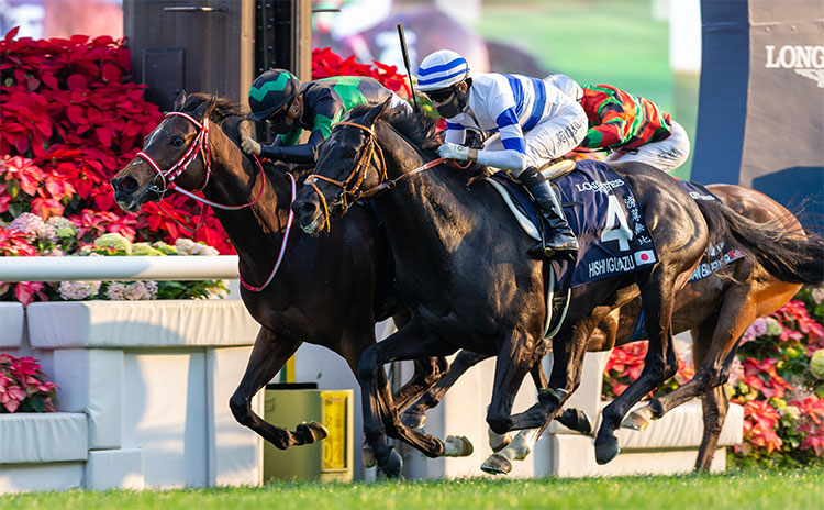 香港カップ」競馬まとめ一覧 | 競馬まとめ - netkeiba