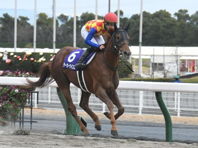 チャンピオンズC連覇を狙うテーオーケインズ(c)netkeiba.com