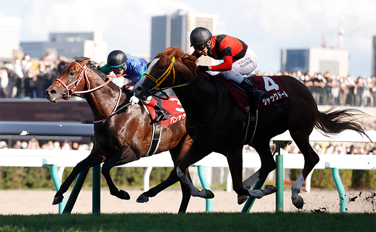 2022年香港カップに出走するジャックドールとパンサラッサ(撮影：高橋正和)