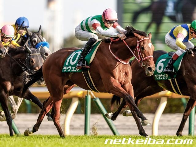 阪神JFで大外8枠18番のラヴェル(c)netkeiba.com