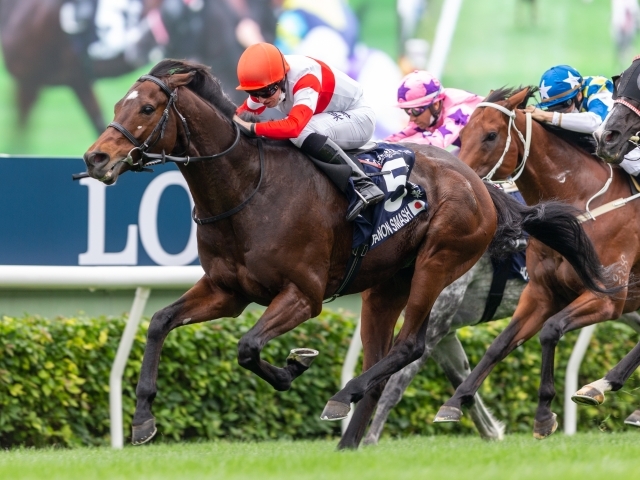 香港スプリント（G1）歴代日本馬出走・成績一覧