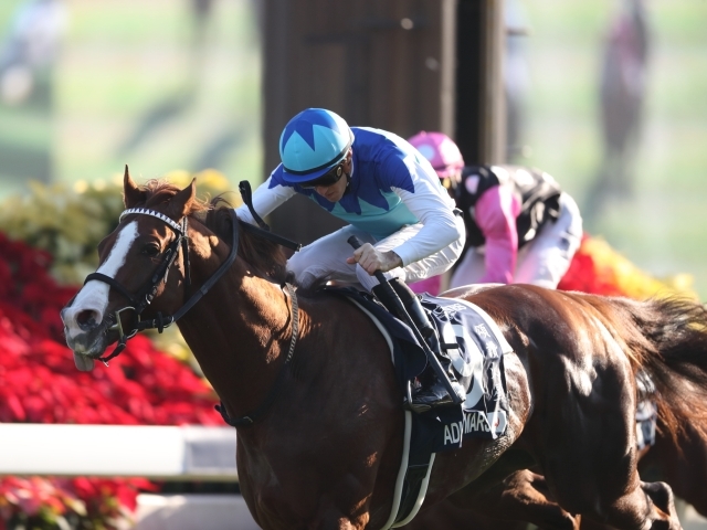 2019年香港マイルを制したアドマイヤマーズ(撮影：高橋正和)