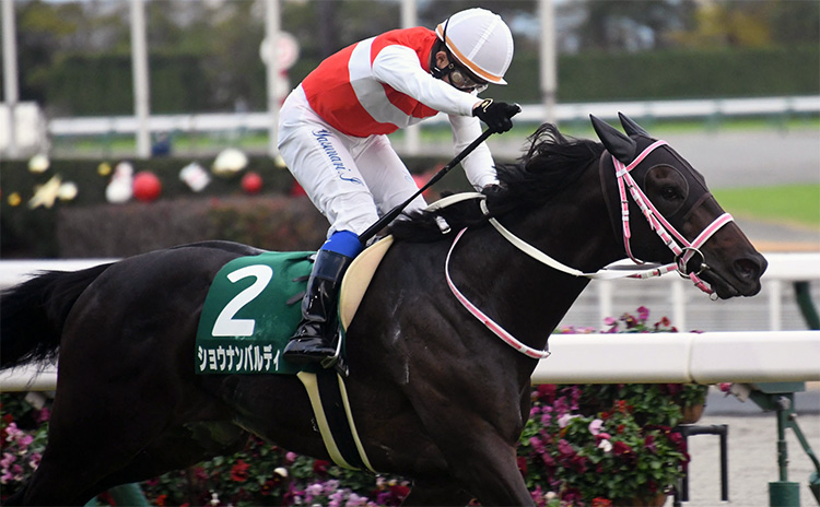 第57回中日新聞杯を制したショウナンバルディ、鞍上は岩田康誠騎手(c)netkeiba.com